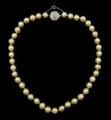 Single strand cultured cream pearl necklace