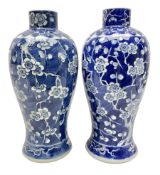 Two Chinese Prunus pattern jars