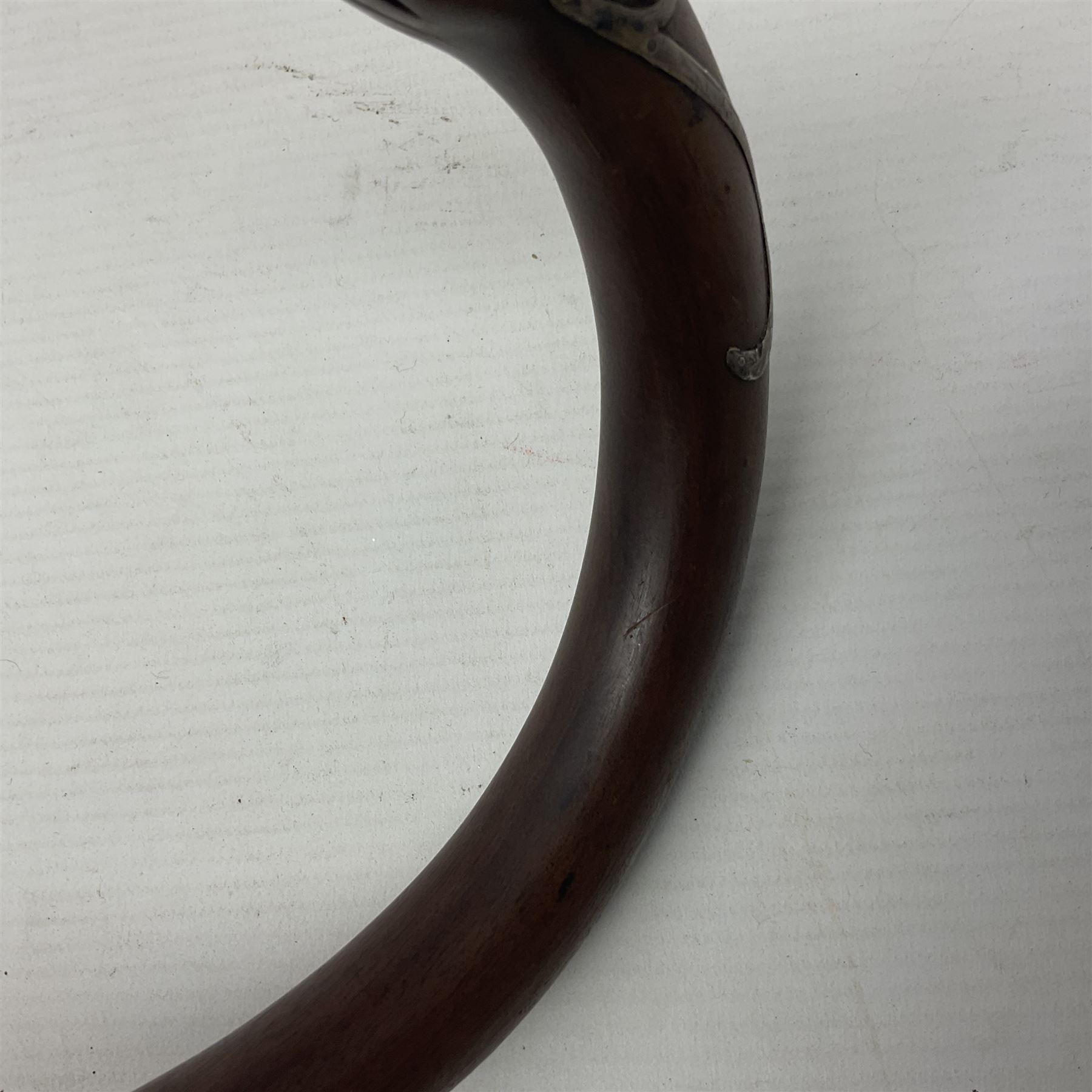 19th century carved wooden walking stick the curved handled modelled as a dog with silver mounts and - Image 6 of 12