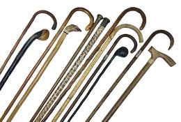 Collection of walking sticks