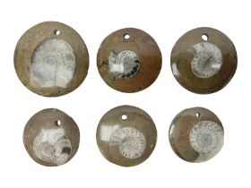 Six goniatite circular pendents