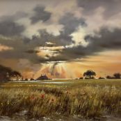 Allan Morgan (British 1952-): Sunset over the Flower Meadow