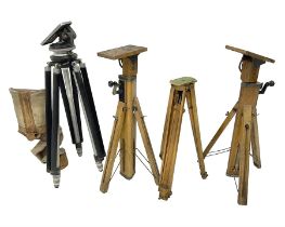 Three wooden adjustable tripods for plate cameras