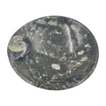 Circular dish with a raised goniatite