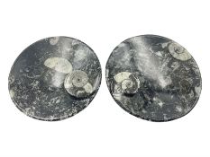 Pair of circular dishes with a raised goniatite and orthoceras and goniatite inclusions