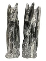 Pair of orthoceras fossil towers