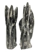 Pair of Orthoceras fossil towers