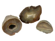 Three polished brown agate geodes