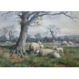 Joseph Dixon Clark (Newcastle 1849-1944): Sheep in Springtime