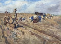 Frederic William Jackson (Staithes Group 1859-1918): Picking Potatoes
