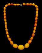Single strand graduating amber bead necklace