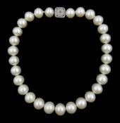 Single strand large South Sea pearl necklace