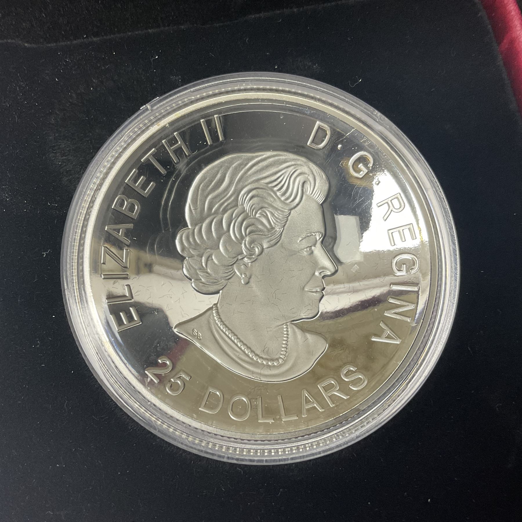 Five Royal Canadian Mint fine silver coins - Image 10 of 19