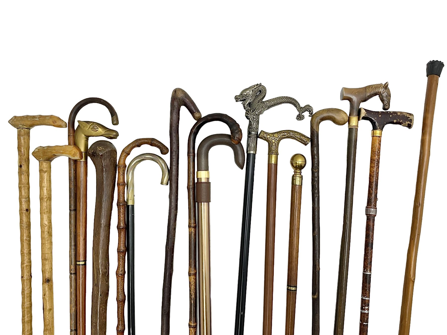 Collection of walking sticks