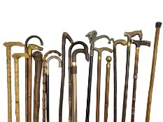 Collection of walking sticks