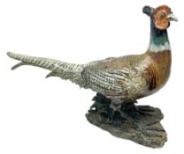 Large stoneware sculpture modeled as a Ring Neck Pheasant