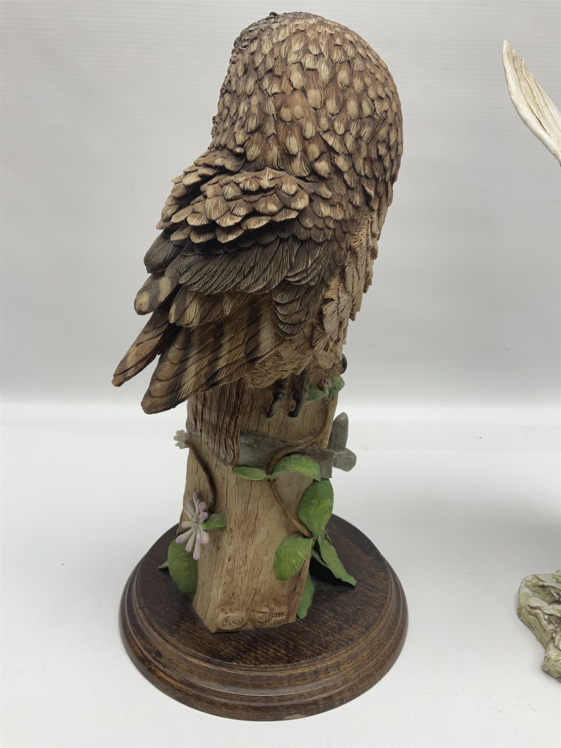 Border Fine Arts figure Barn Owl in Flight B1532 - Image 6 of 17