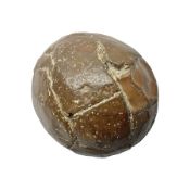 Fossilised dinosaur egg