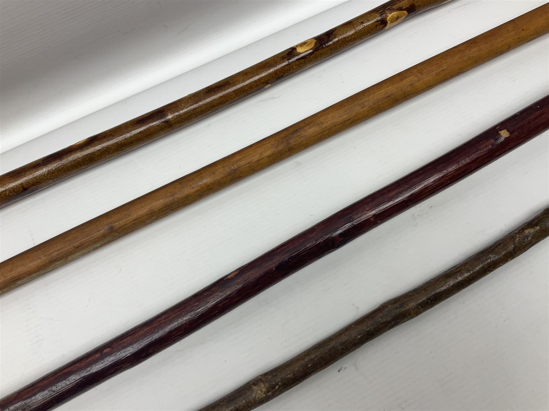Four late 19th/early 20th century walking canes - Image 15 of 17