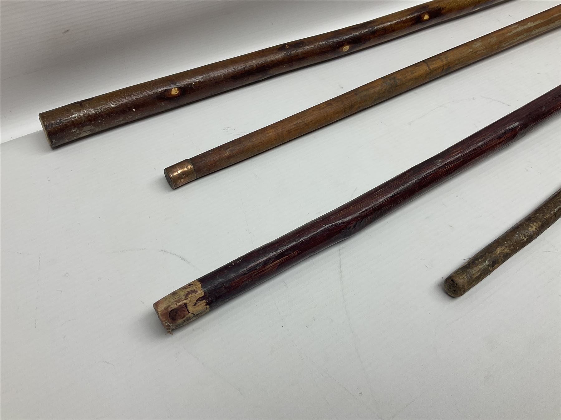 Four late 19th/early 20th century walking canes - Image 17 of 17
