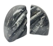 Pair of marble bookends with orthoceras and goniatite inclusions