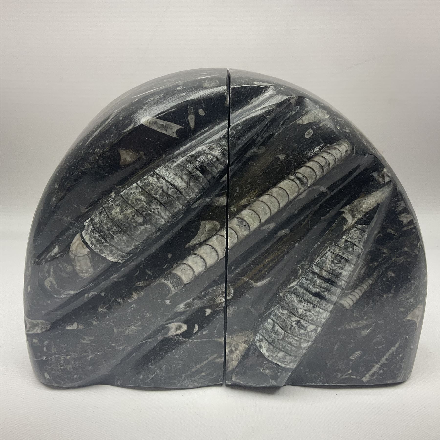 Pair of marble bookends with orthoceras and goniatite inclusions - Image 2 of 4