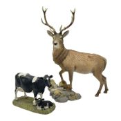 Country Artists Red Deer Stag and a Border Fine Arts Friesian Cow and Calf figure