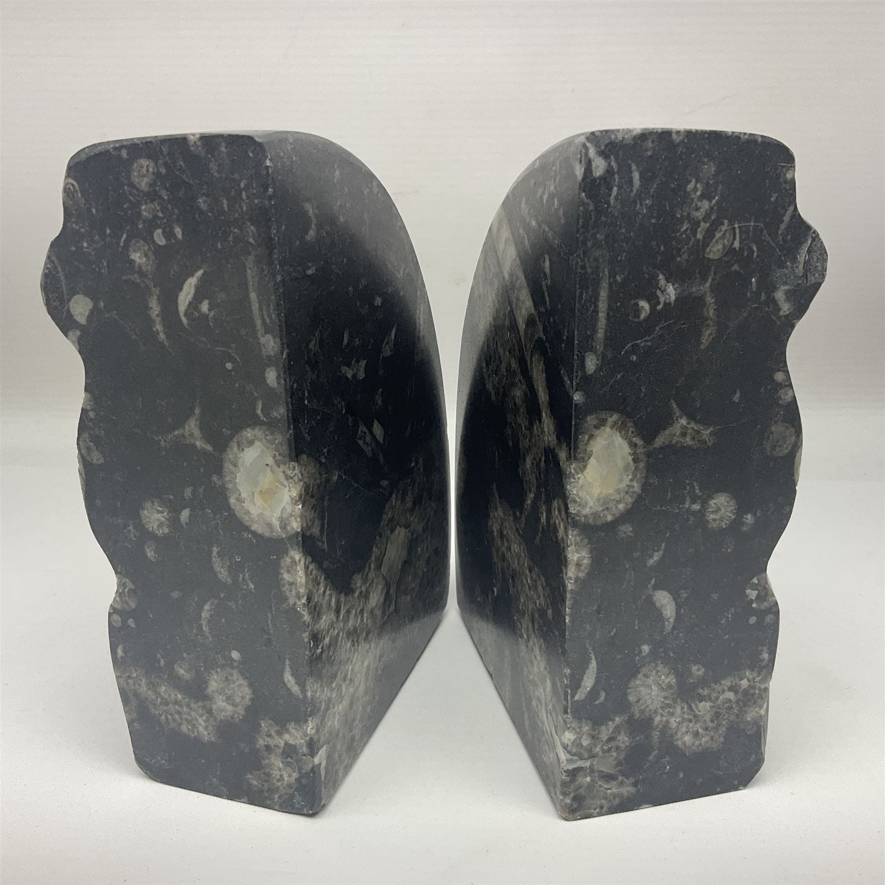 Pair of marble bookends with orthoceras and goniatite inclusions - Image 4 of 4