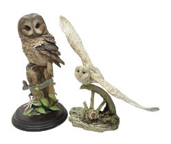 Border Fine Arts figure Barn Owl in Flight B1532