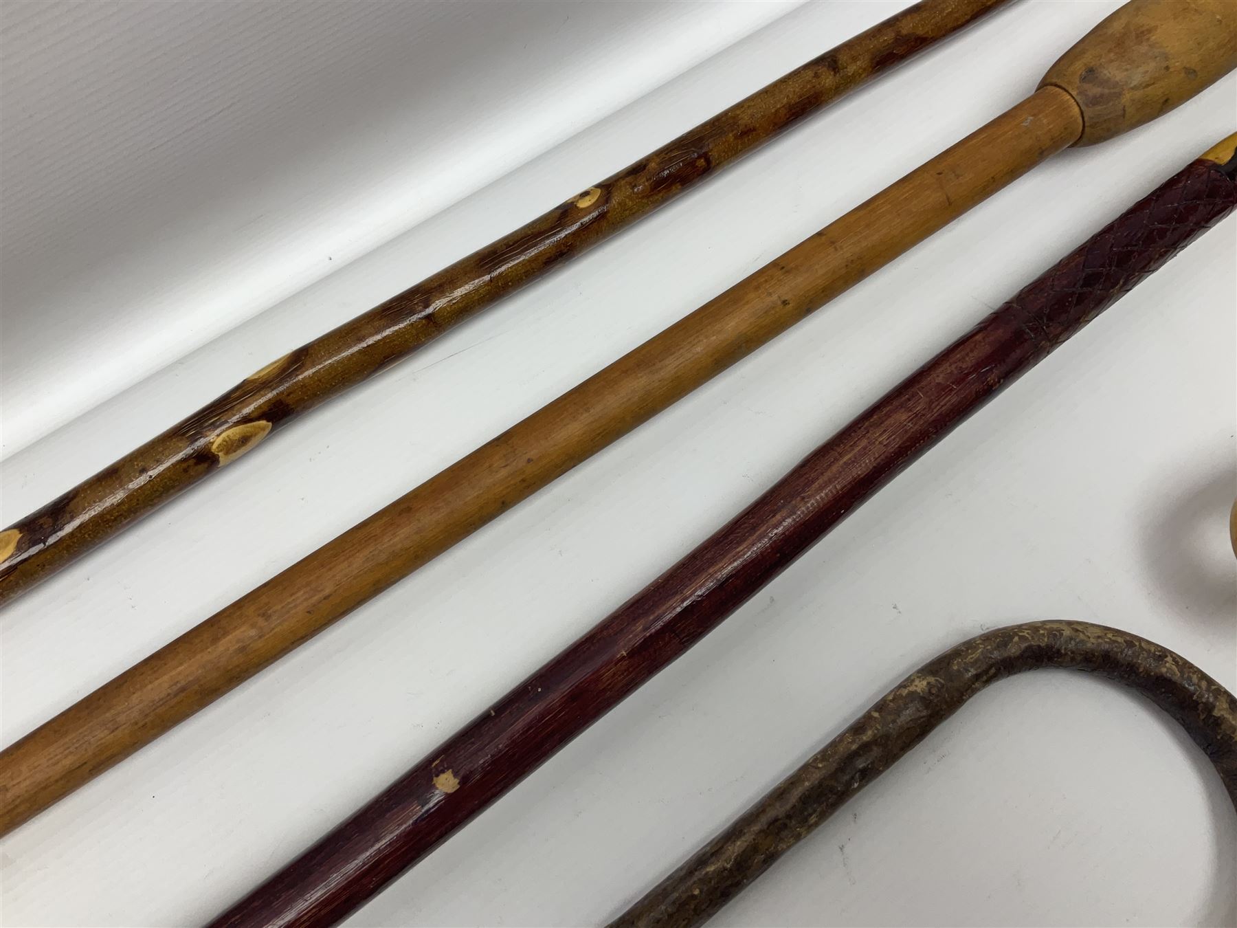 Four late 19th/early 20th century walking canes - Image 13 of 17