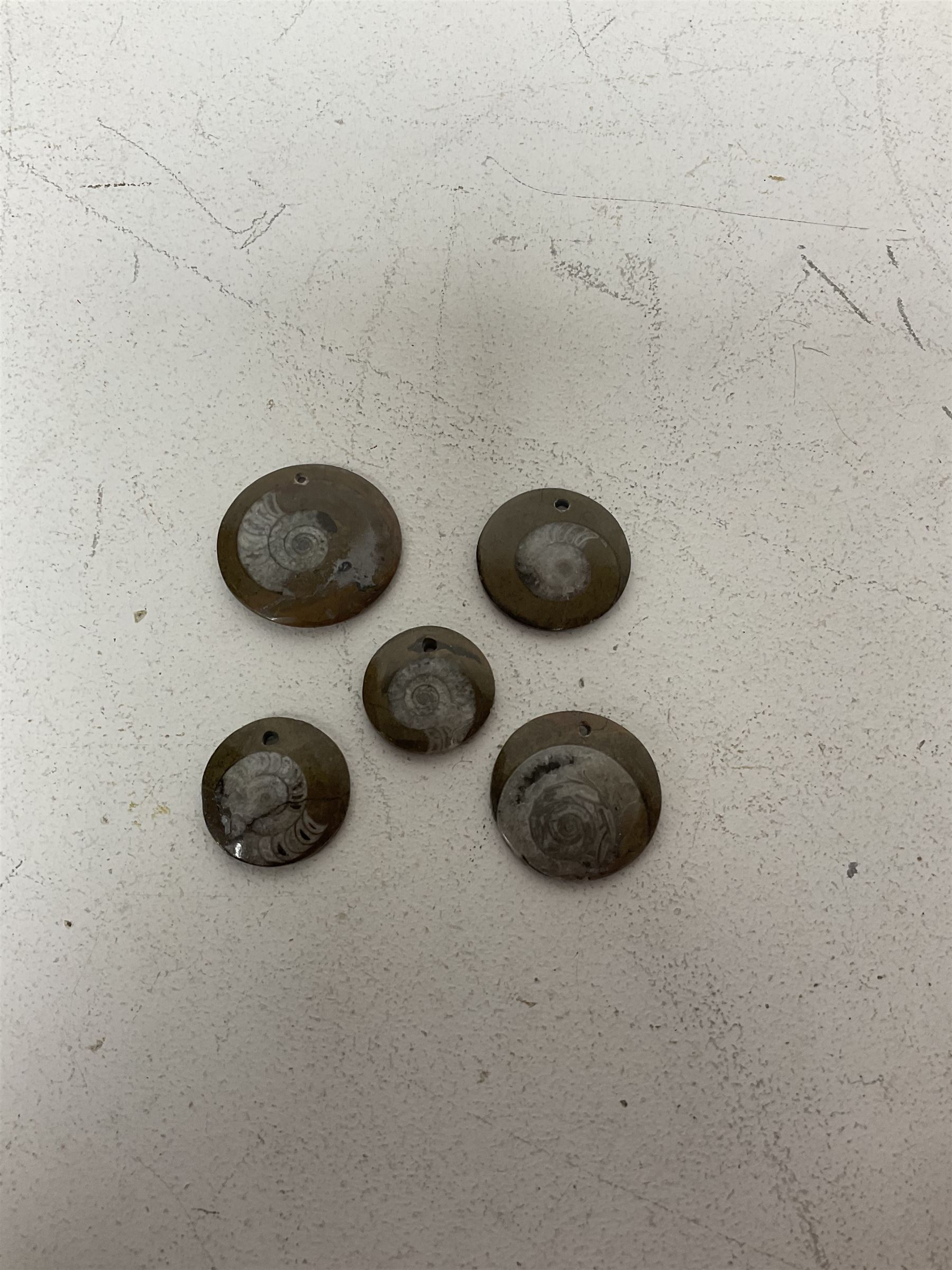 Five goniatite circular pendents - Image 2 of 2