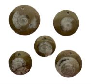 Five goniatite circular pendents
