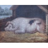 J Box (British 20th century): Sleeping Pig