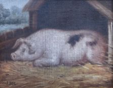 J Box (British 20th century): Sleeping Pig