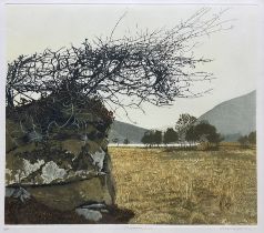 Philip Greenwood (Welsh 1943-): 'Cregennan Lake'