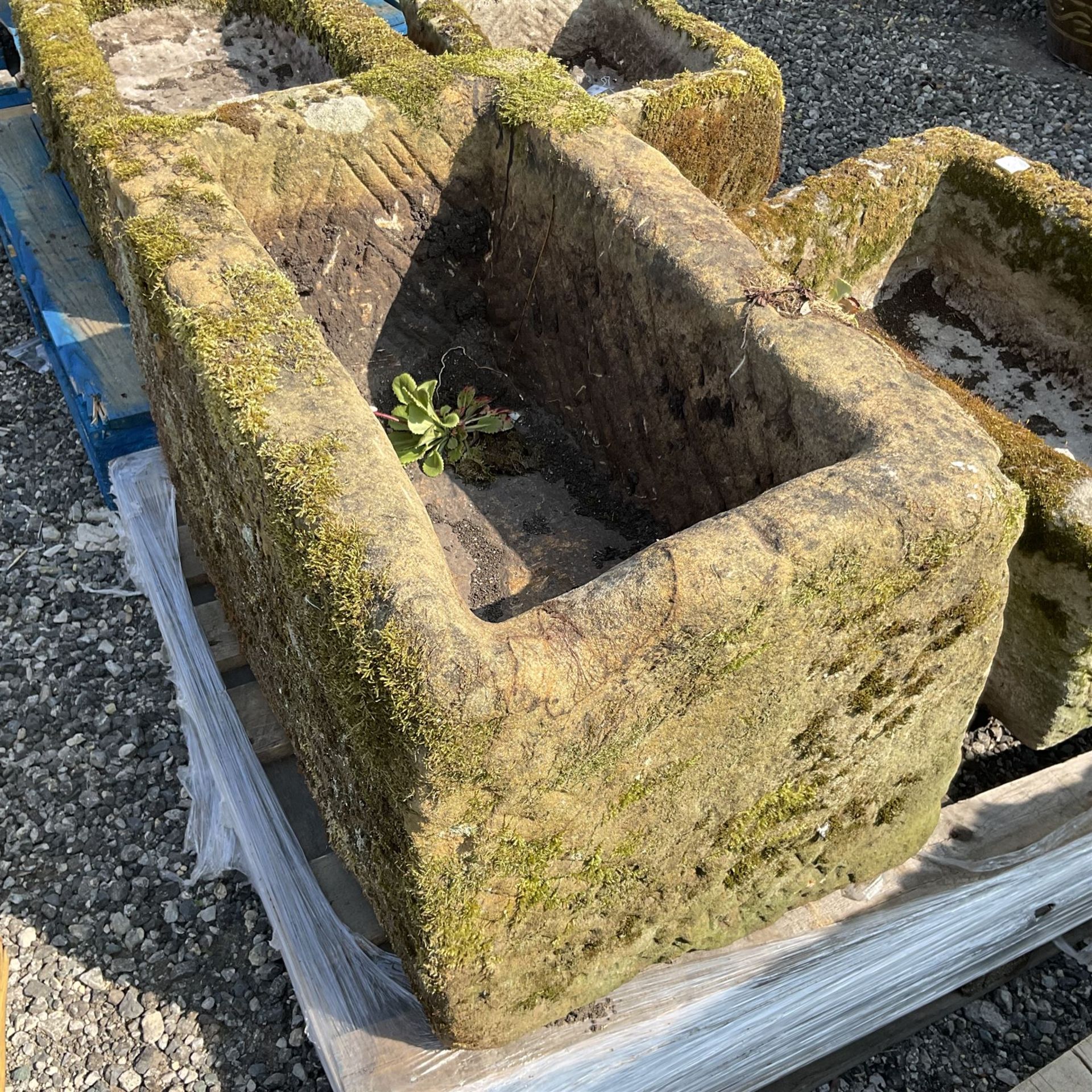 19th century medium carved stone trough