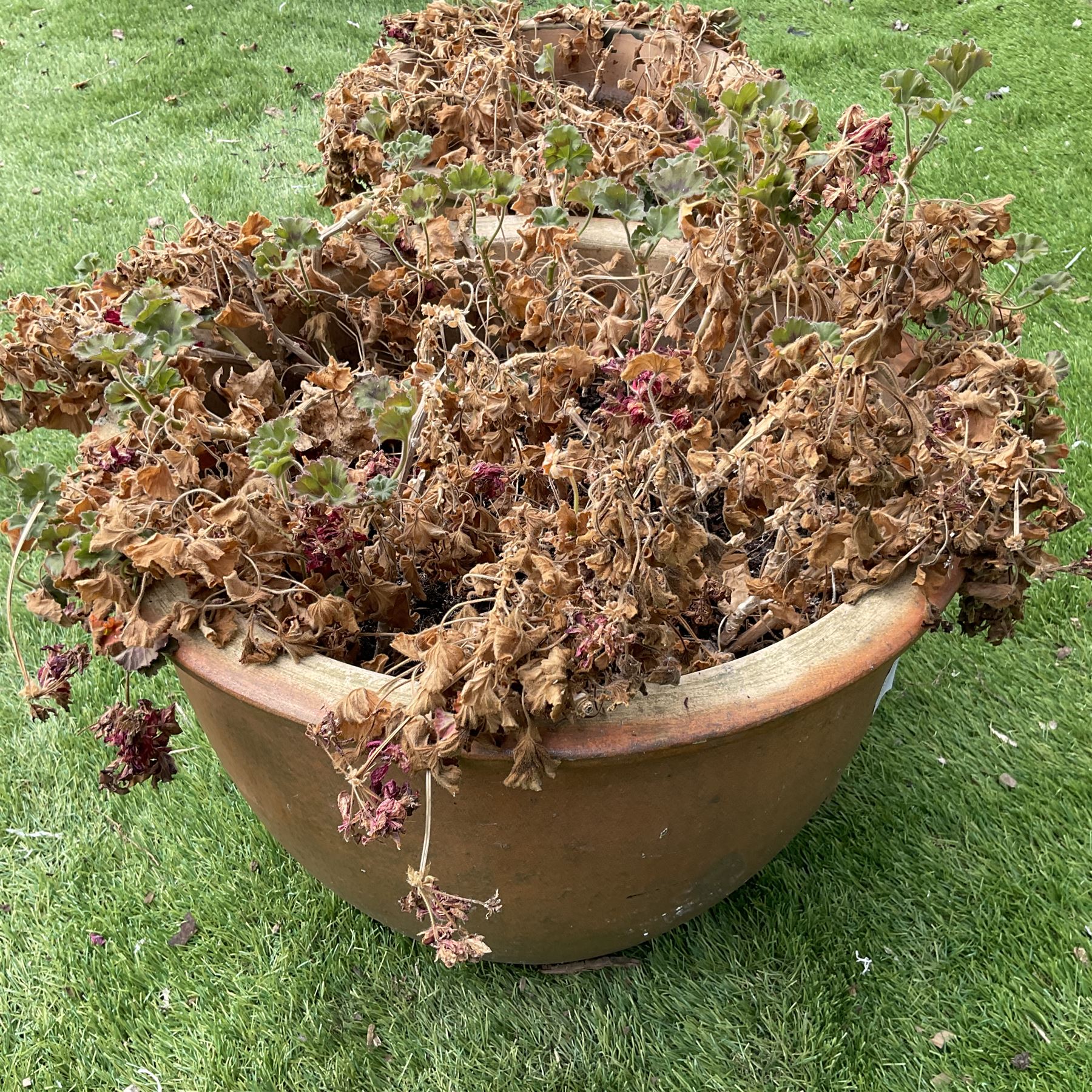 Pair of terracotta planters - Image 2 of 3