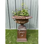 Terracotta garden urn on plinth