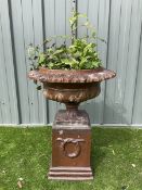 Terracotta garden urn on plinth