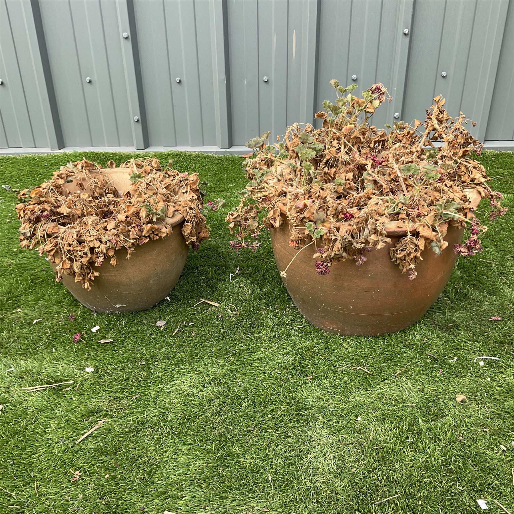 Pair of terracotta planters