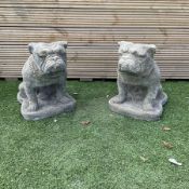 Pair of cast stone garden bulldogs