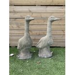 Pair of cast stone squatting garden geese
