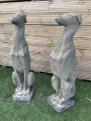 Pair of cast stone seated greyhounds