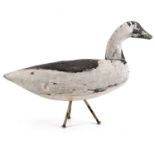 A painted decoy duck.