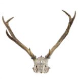 A late 19th century pair of eight point antlers on the skull cap and inscribed.