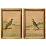 A pair of Victorian feather collage and watercolour bird pictures.