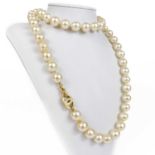A Chanel faux pearl necklace.