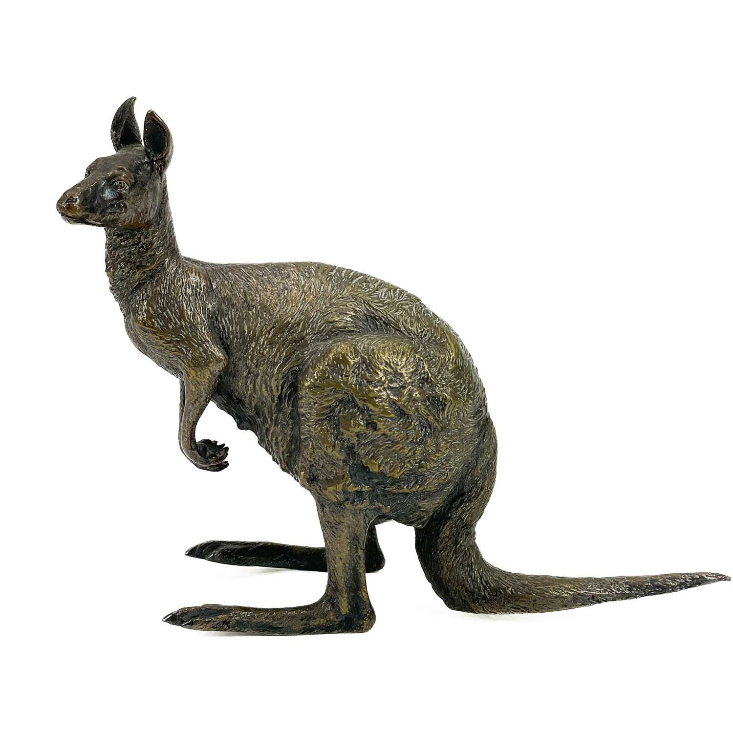 A Franz Bergman Vienna cold painted bronze kangaroo. - Image 11 of 11