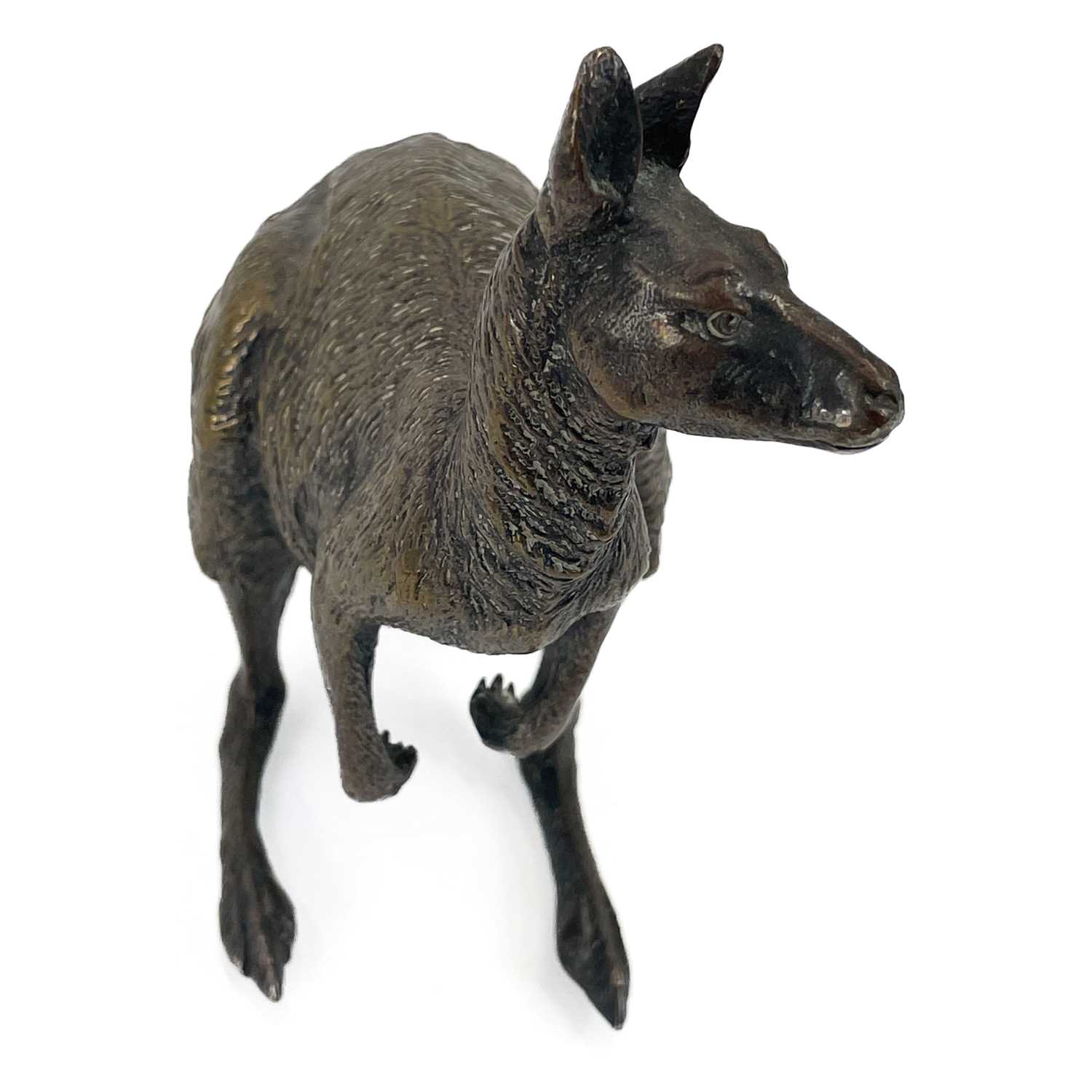 A Franz Bergman Vienna cold painted bronze kangaroo. - Image 8 of 11