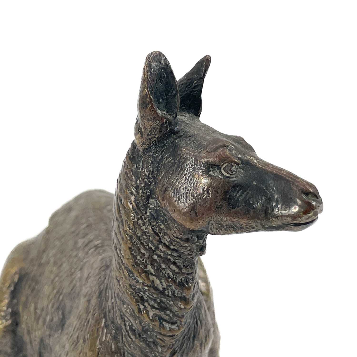 A Franz Bergman Vienna cold painted bronze kangaroo. - Image 10 of 11